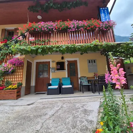 Anaya Paradise For Families