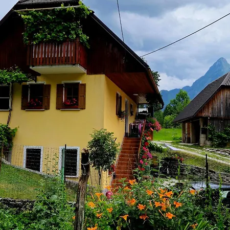 Apartment Anaya Paradise For Families Bovec