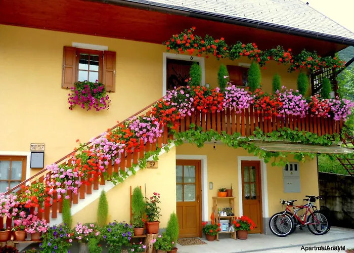 Anaya * بوويتش